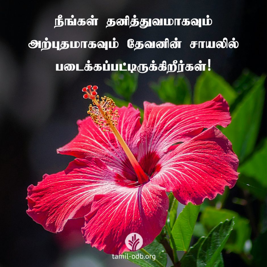 Share Tamil ODB 2026-04-24