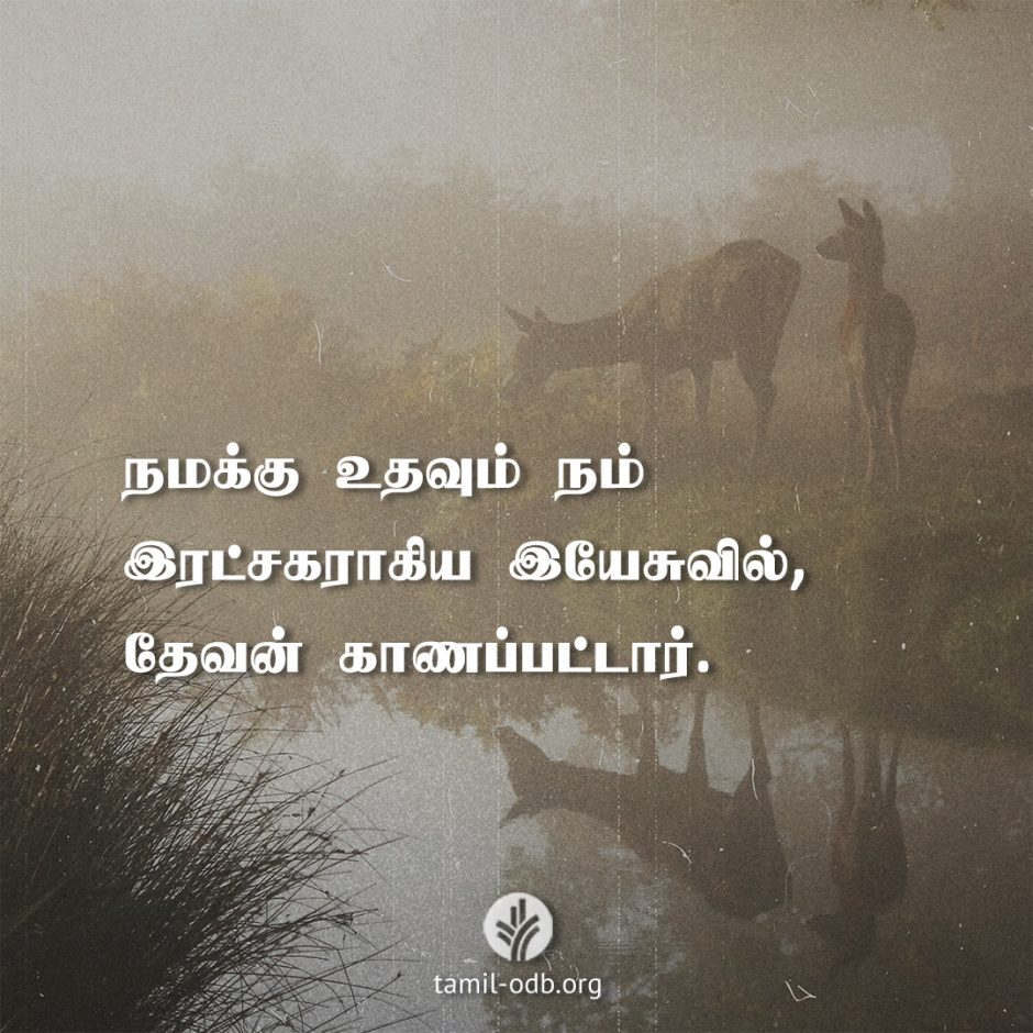 Share Tamil ODB 2026-04-25