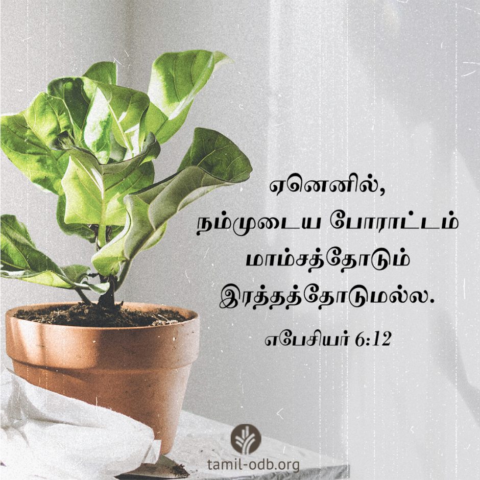 Share Tamil ODB 2026-04-29