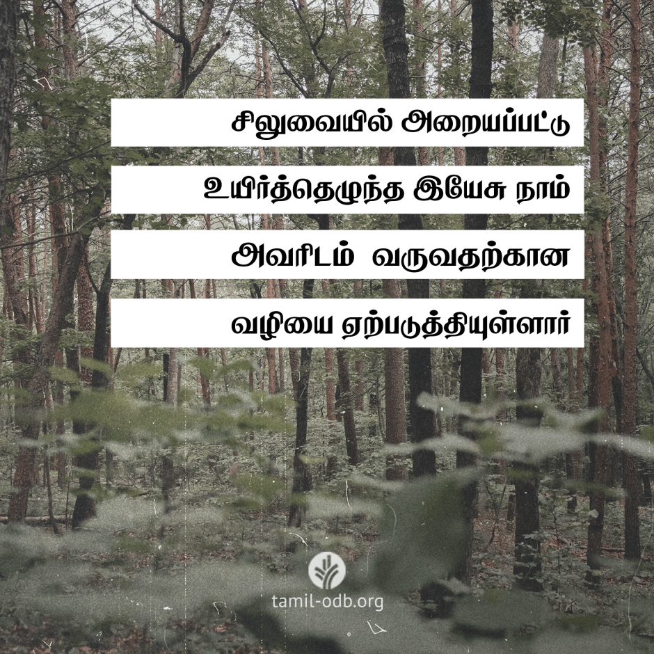 Share Tamil ODB 2026-05-01