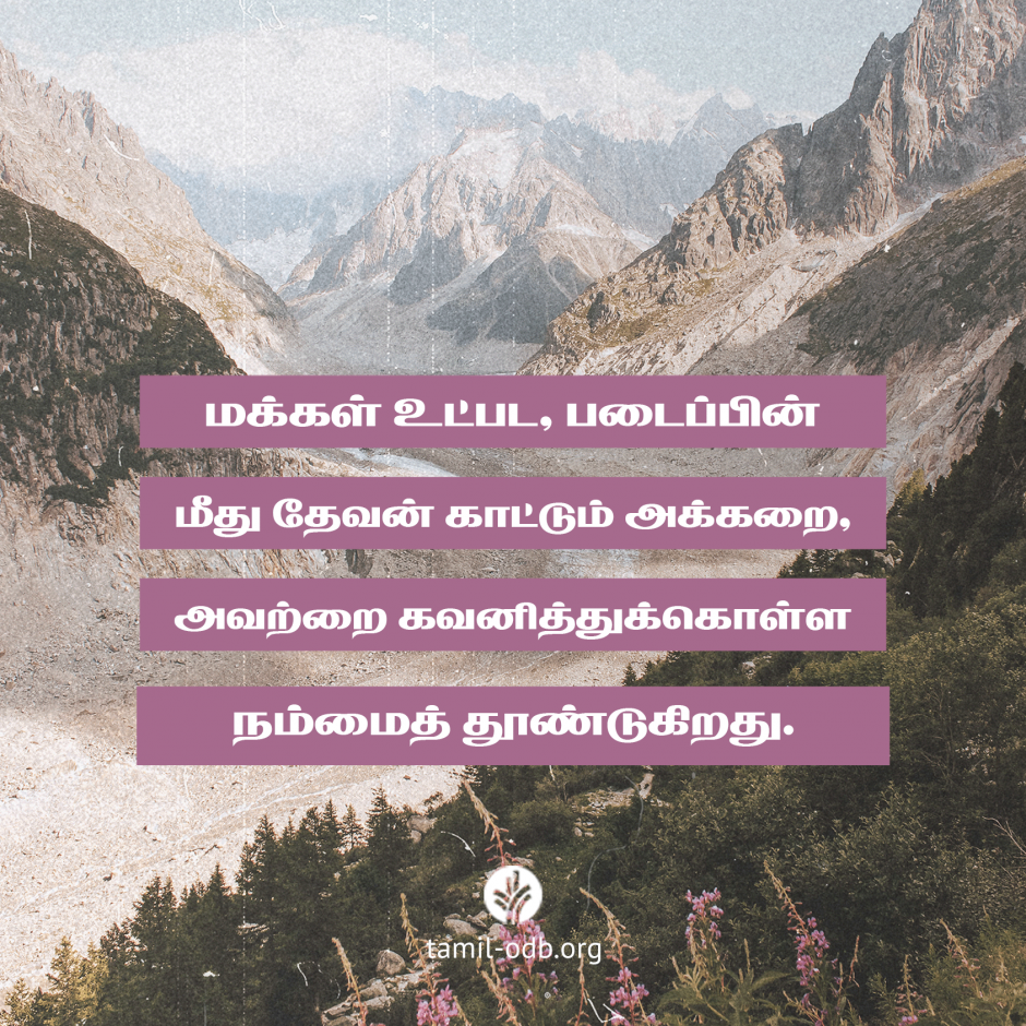 Share Tamil ODB 2026-05-08
