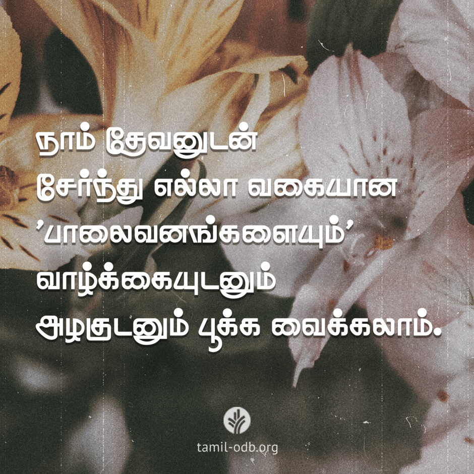 Share Tamil ODB 2026-05-09