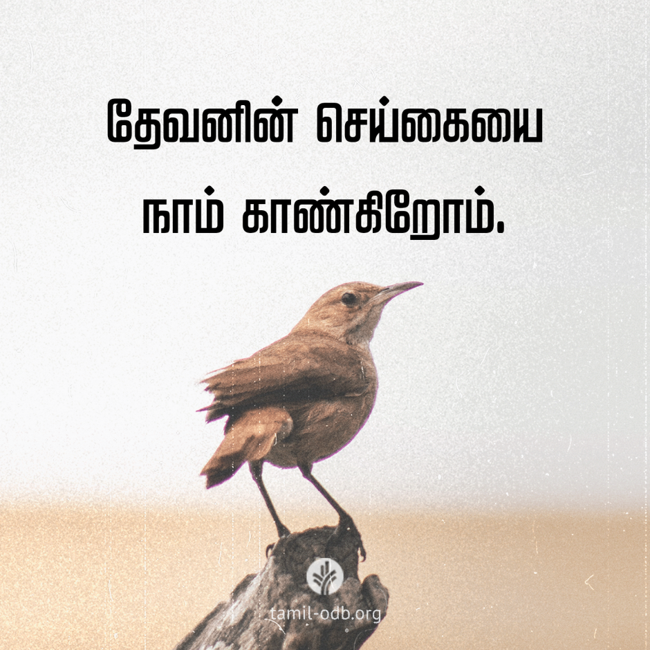 Share Tamil ODB 2026-05-16