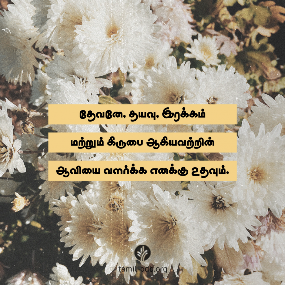 Share Tamil ODB 2026-05-21 Share Tamil ODB 2026-05-21