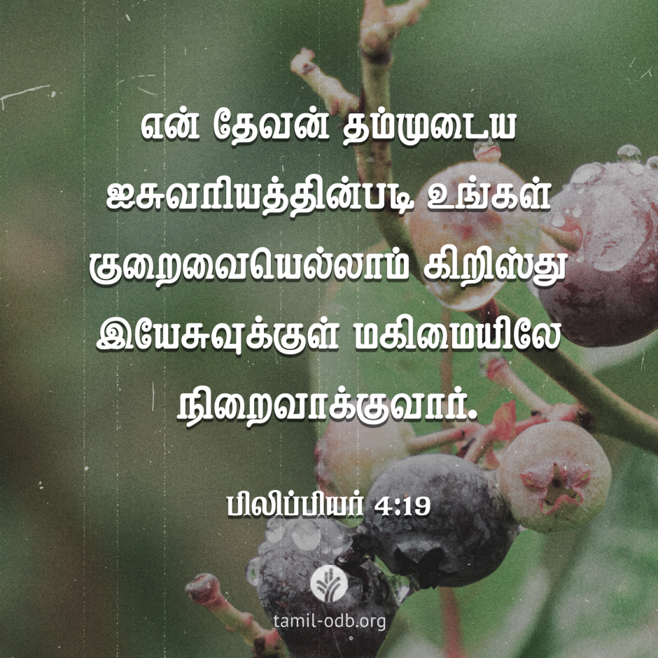 Share Tamil ODB 2026-05-22 Share Tamil ODB 2026-05-22