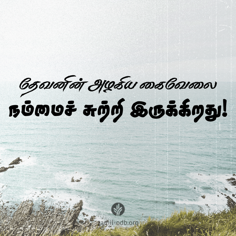 Share Tamil ODB 2026-05-23 Share Tamil ODB 2026-05-23