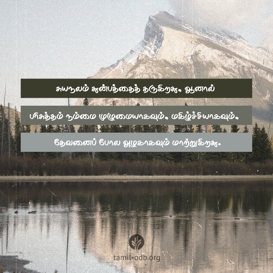 Share Tamil ODB 2026-05-24 Share Tamil ODB 2026-05-24
