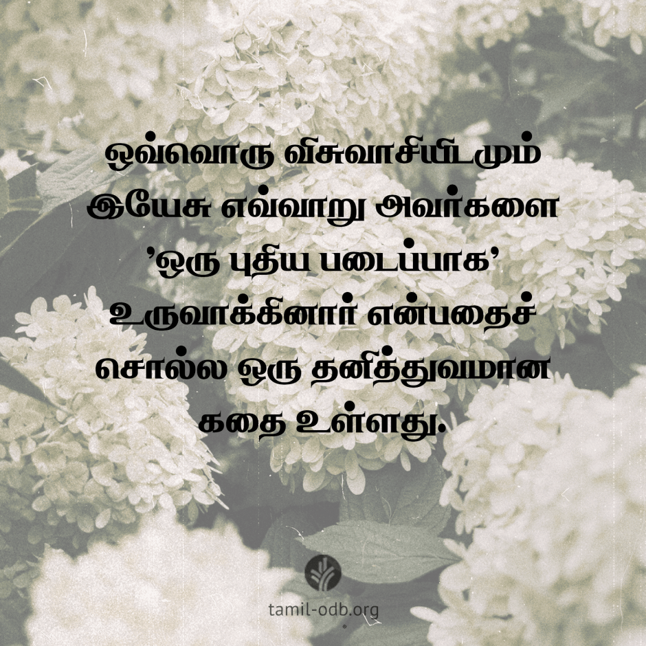 Share Tamil ODB 2026-05-25