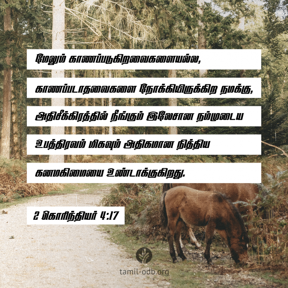 Share Tamil ODB 2026-05-26 Share Tamil ODB 2026-05-26
