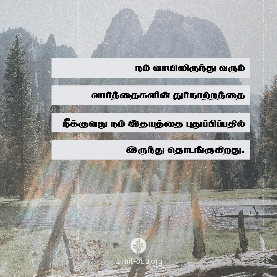 Share Tamil ODB 2026-05-30 Share Tamil ODB 2026-05-30