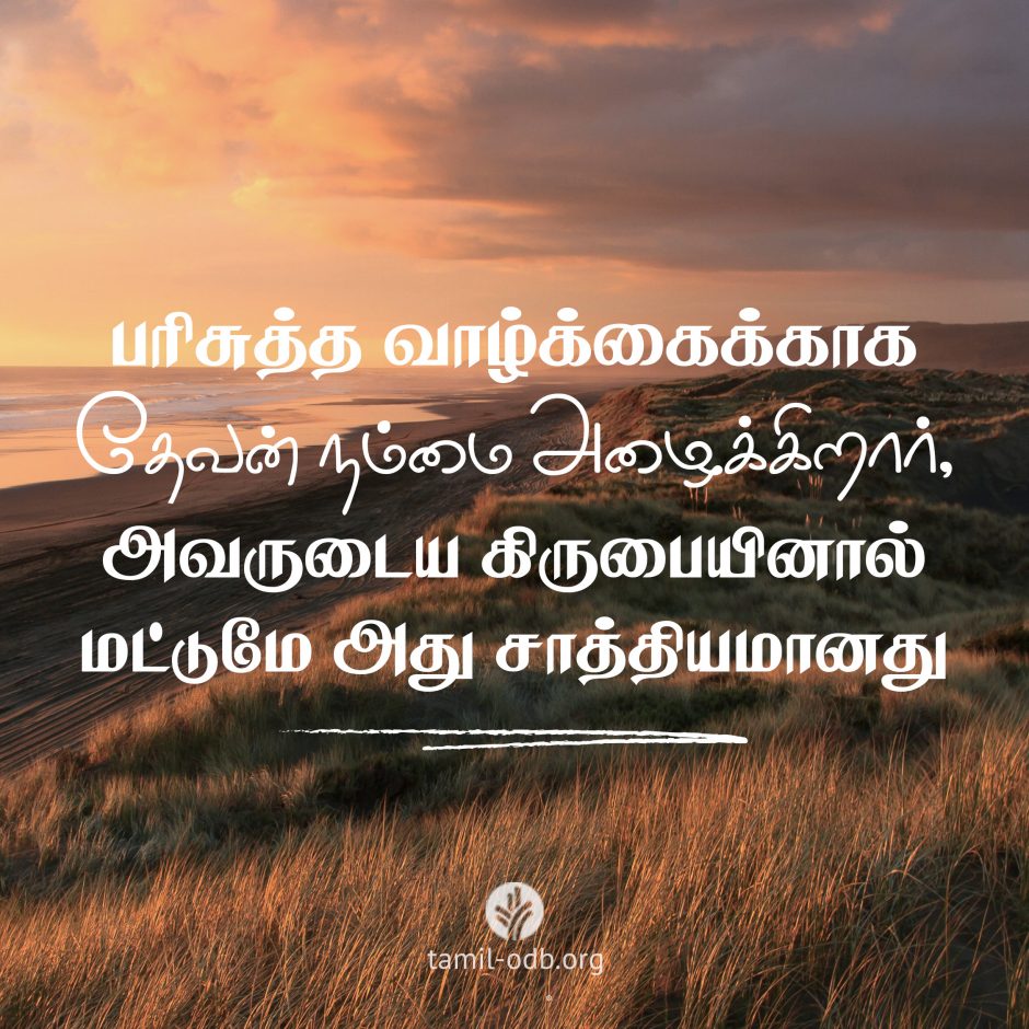 Share Tamil ODB 2026-06-01