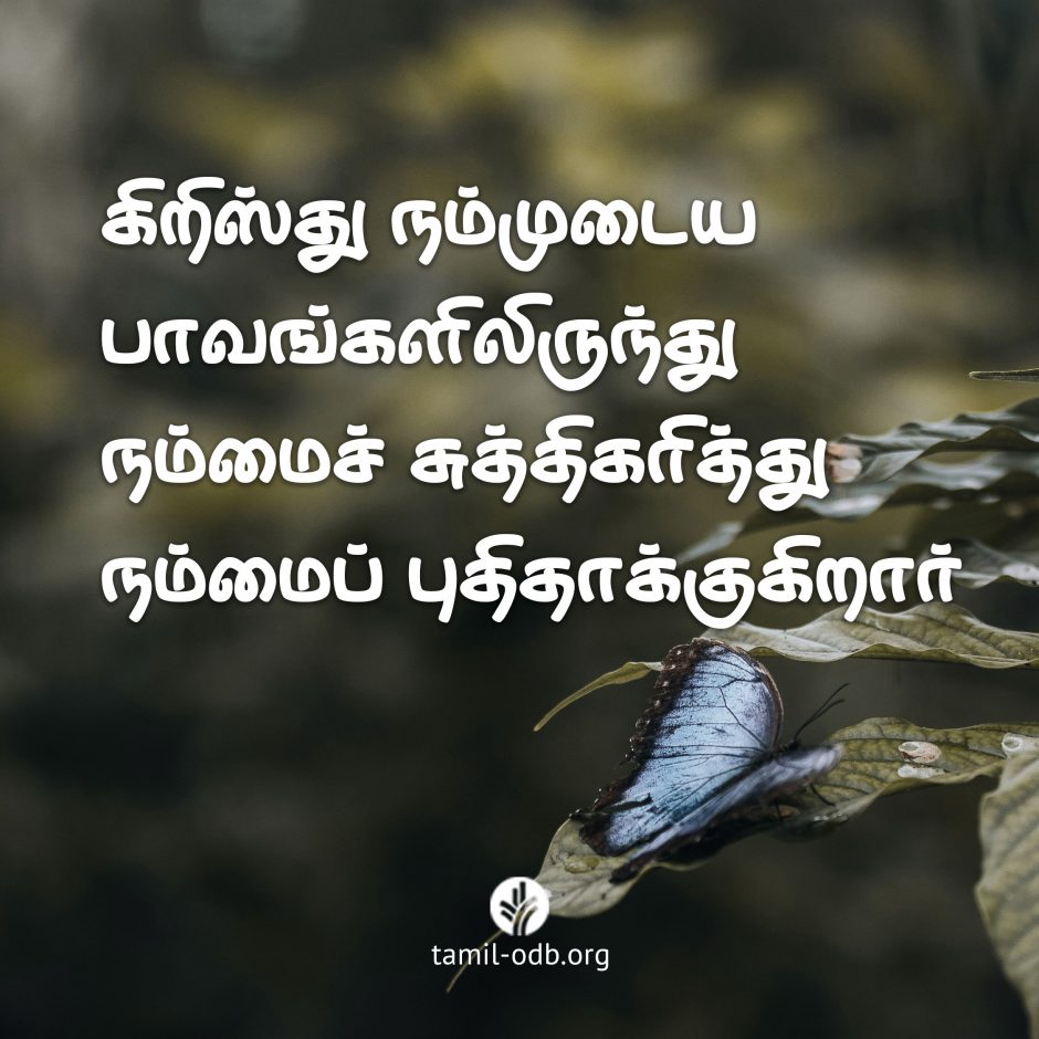 Share Tamil ODB 2026-06-03