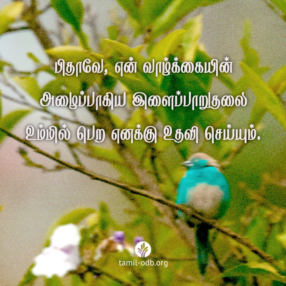 Share Tamil ODB 2026-06-05