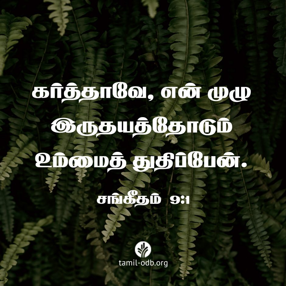 Share Tamil ODB 2026-06-06