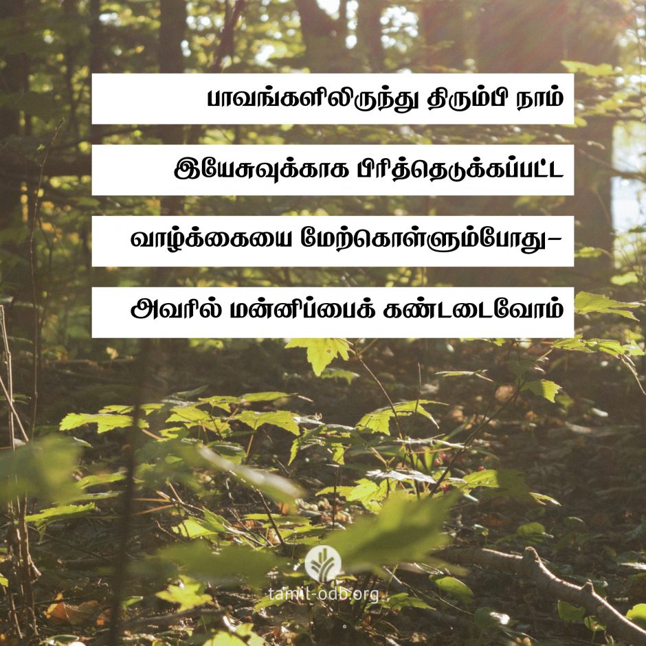 Share Tamil ODB 2026-06-08