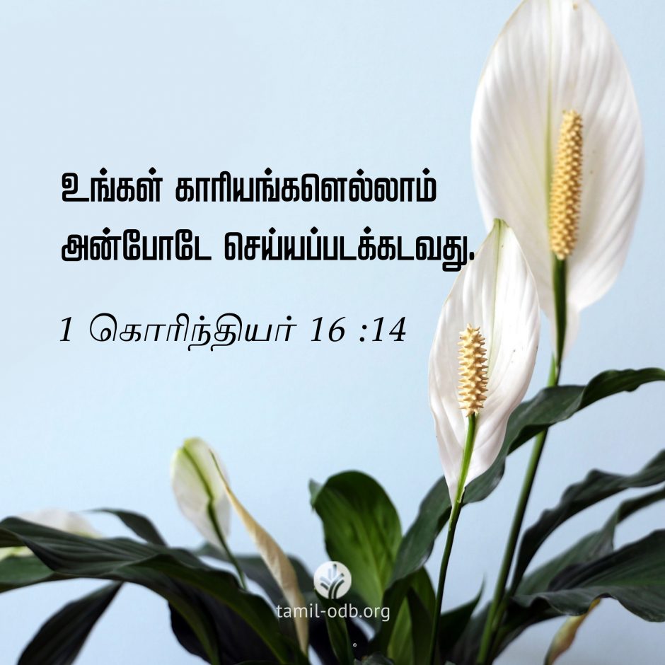 Share Tamil ODB 2026-06-09