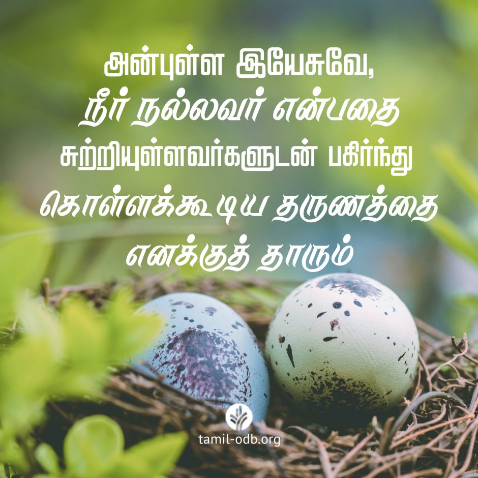 Share Tamil ODB 2026-06-10 Share Tamil ODB 2026-06-10