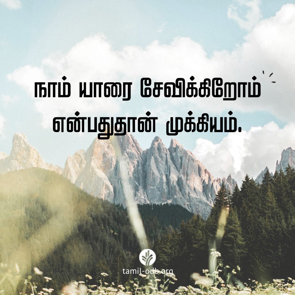 Share Tamil ODB 2026-06-11