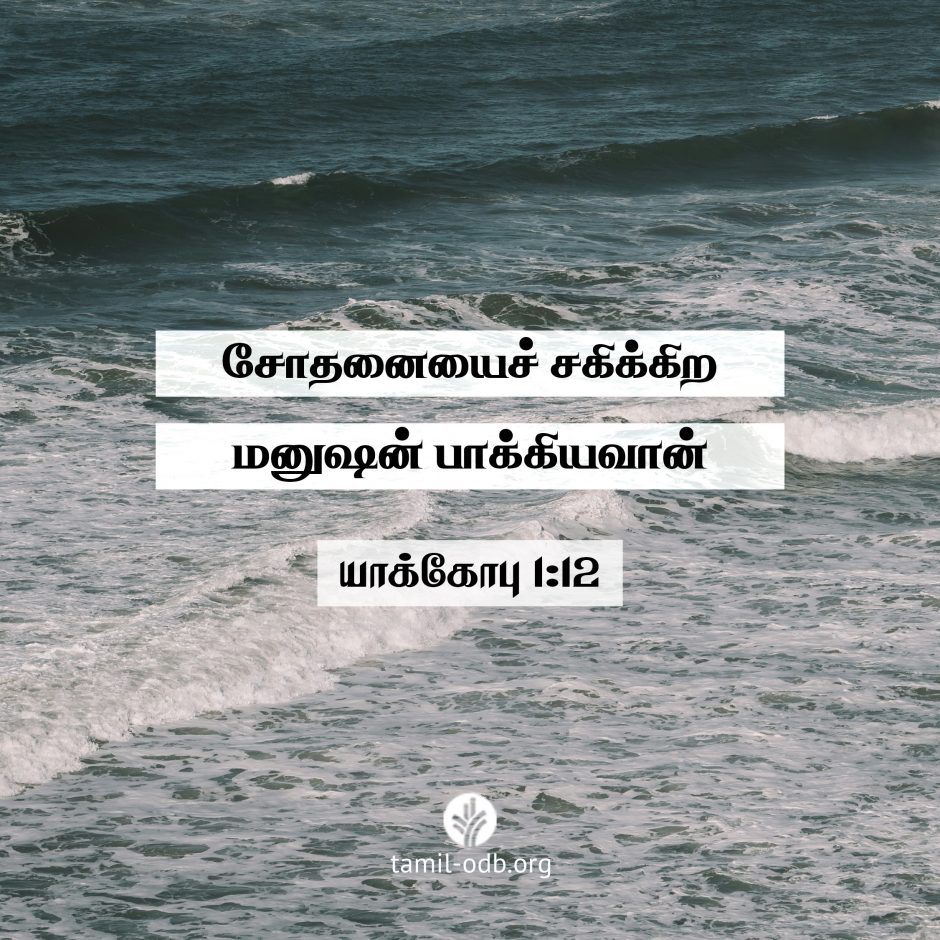Share Tamil ODB 2026-06-14