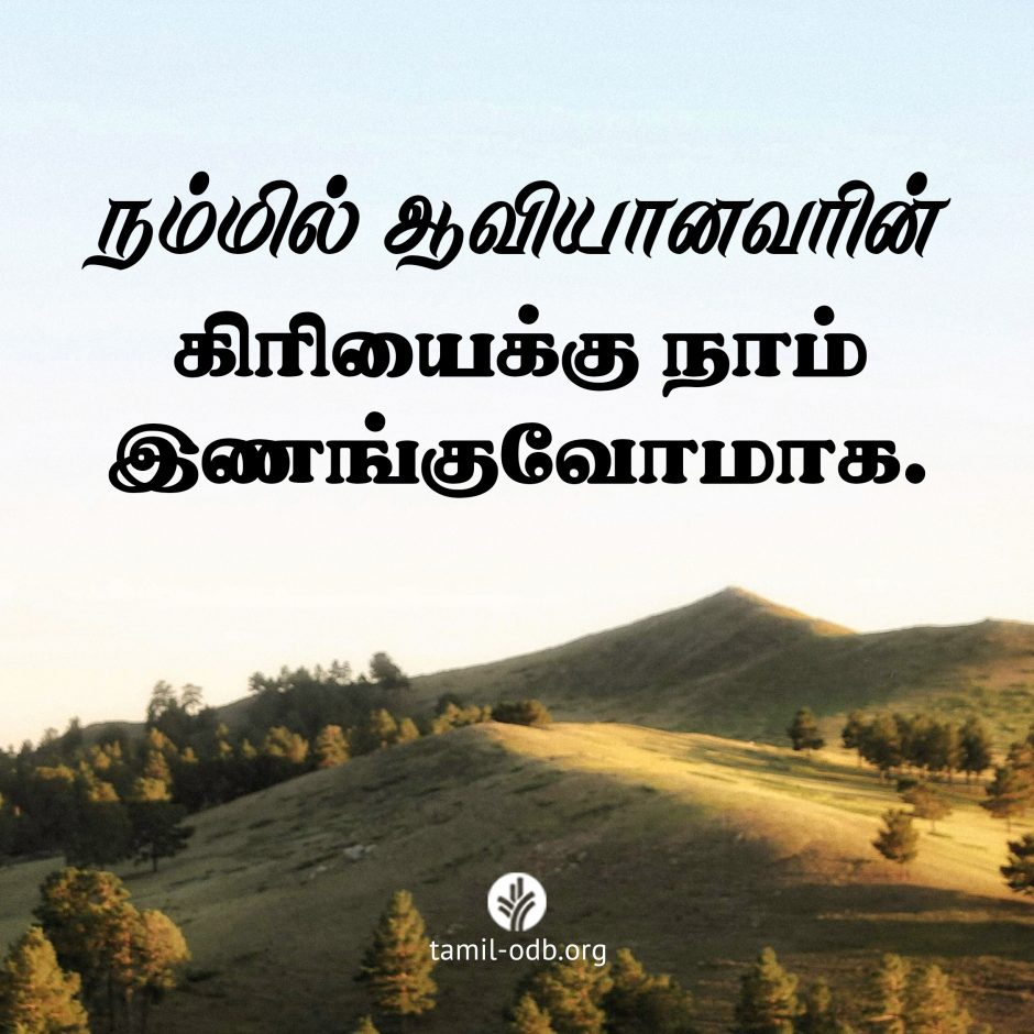 Share Tamil ODB 2026-06-15 Share Tamil ODB 2026-06-15