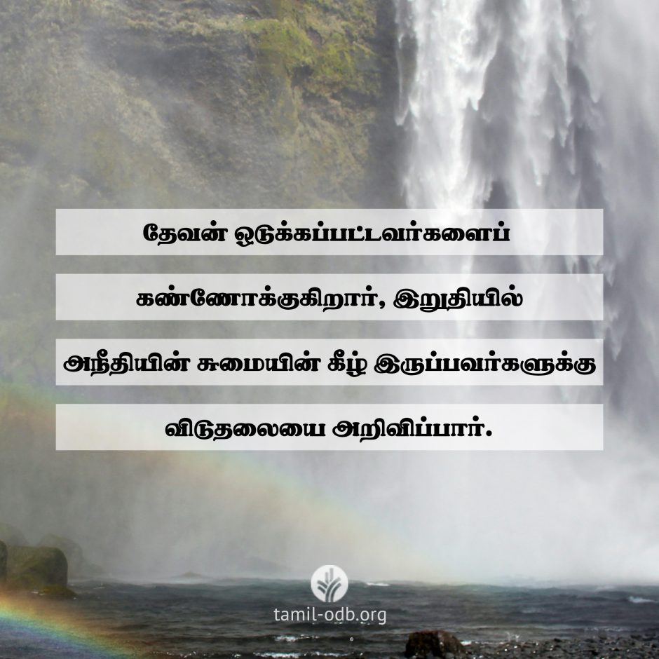 Share Tamil ODB 2026-06-19