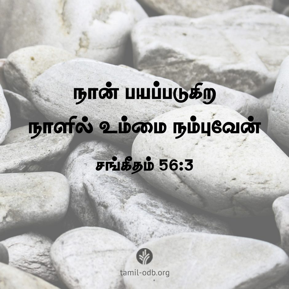 Share Tamil ODB 2026-06-24 Share Tamil ODB 2026-06-24