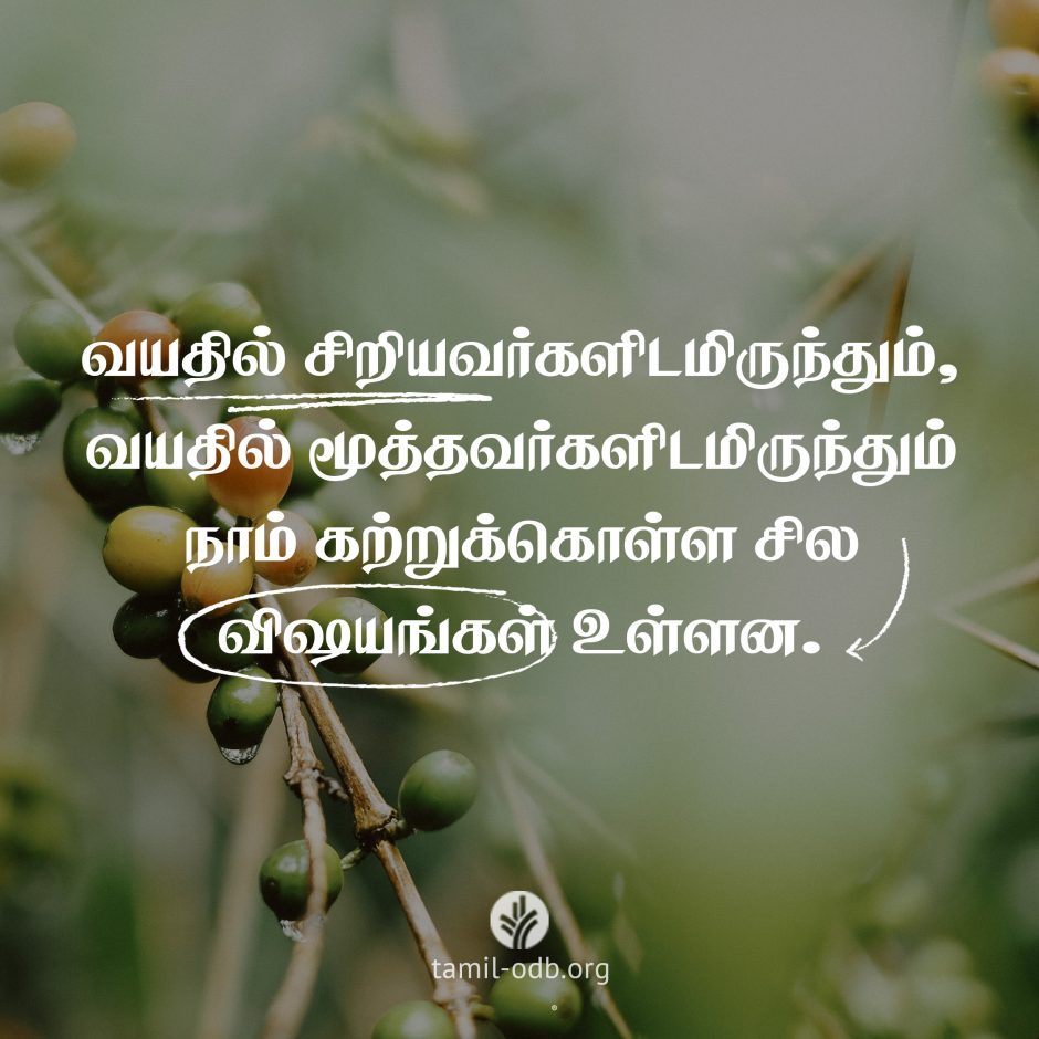 Share Tamil ODB 2026-06-26