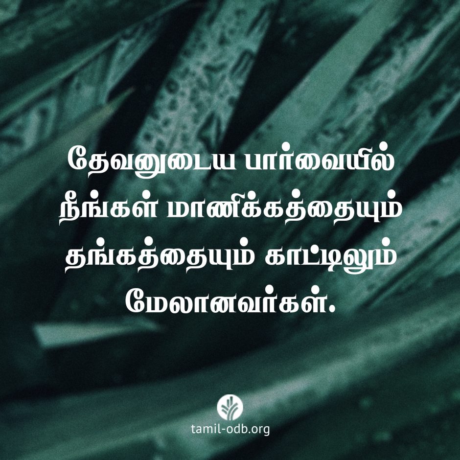 Share Tamil ODB 2026-06-29