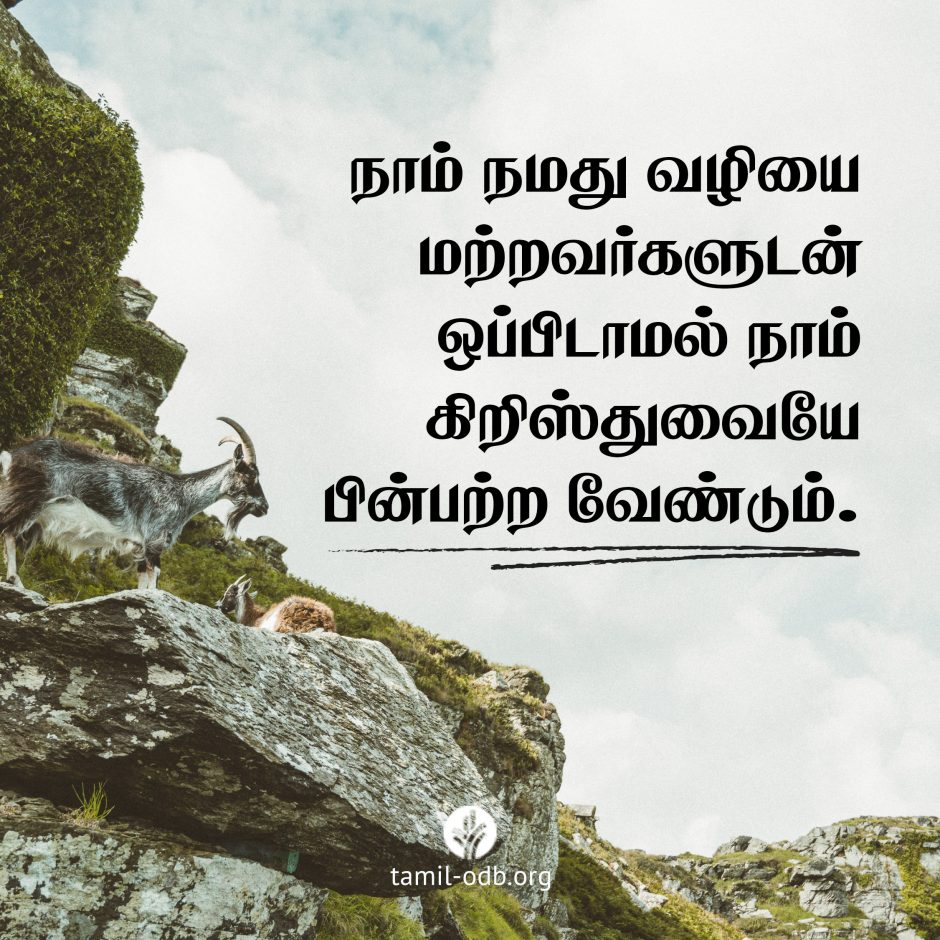 Share Tamil ODB 2026-06-30