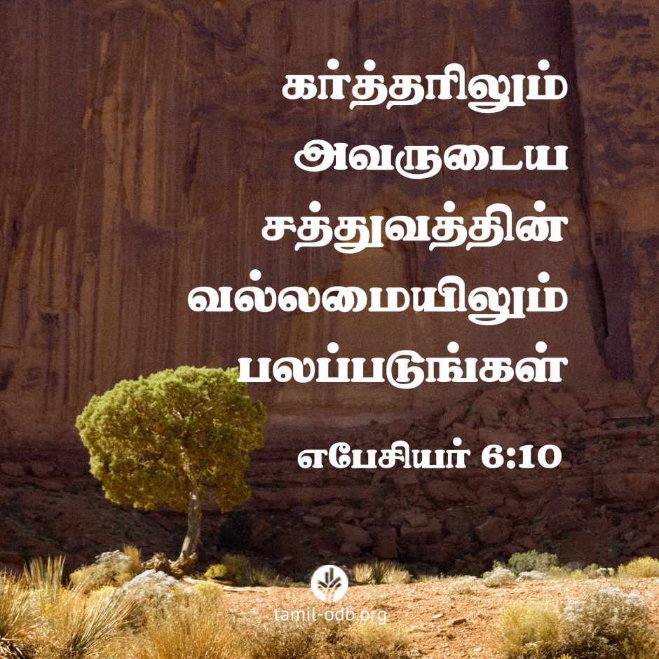 Share Tamil ODB 2026-07-06 Share Tamil ODB 2026-07-06