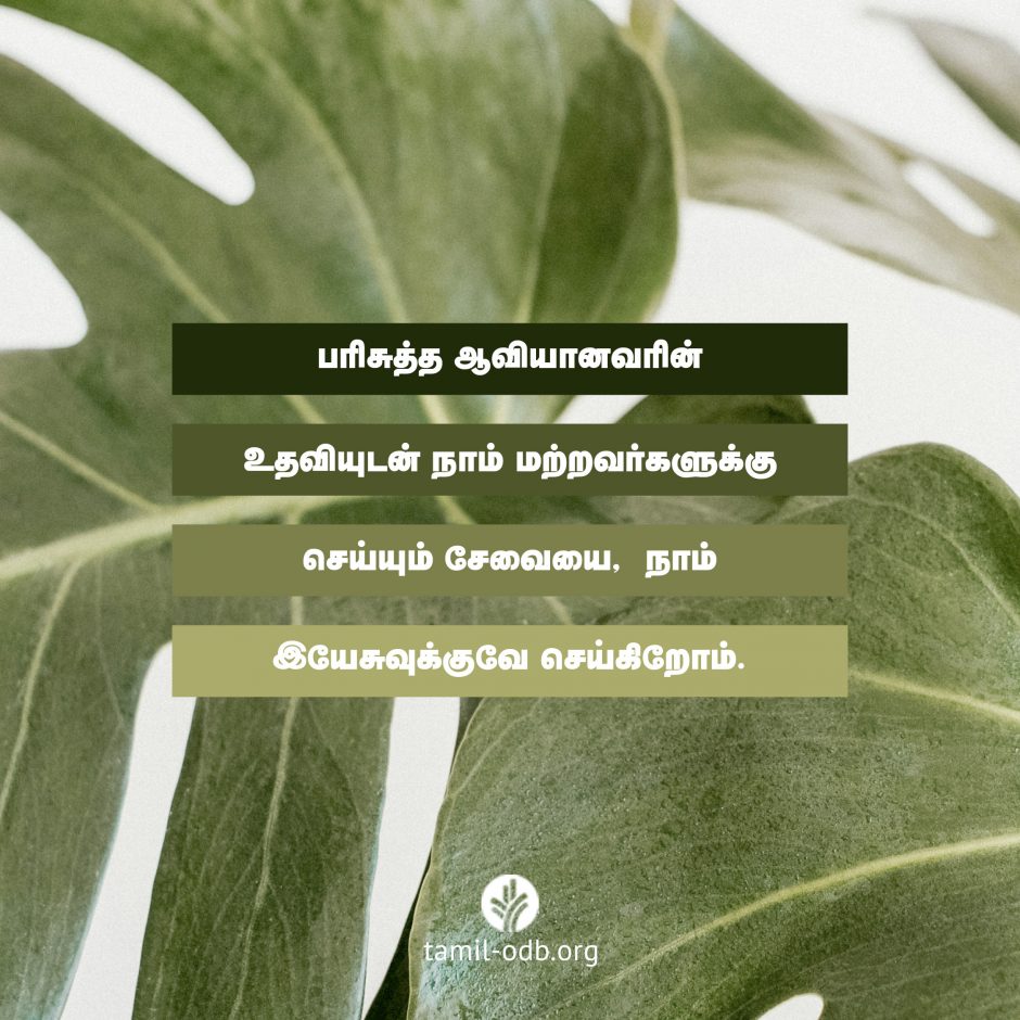 Share Tamil ODB 2026-07-08 Share Tamil ODB 2026-07-08
