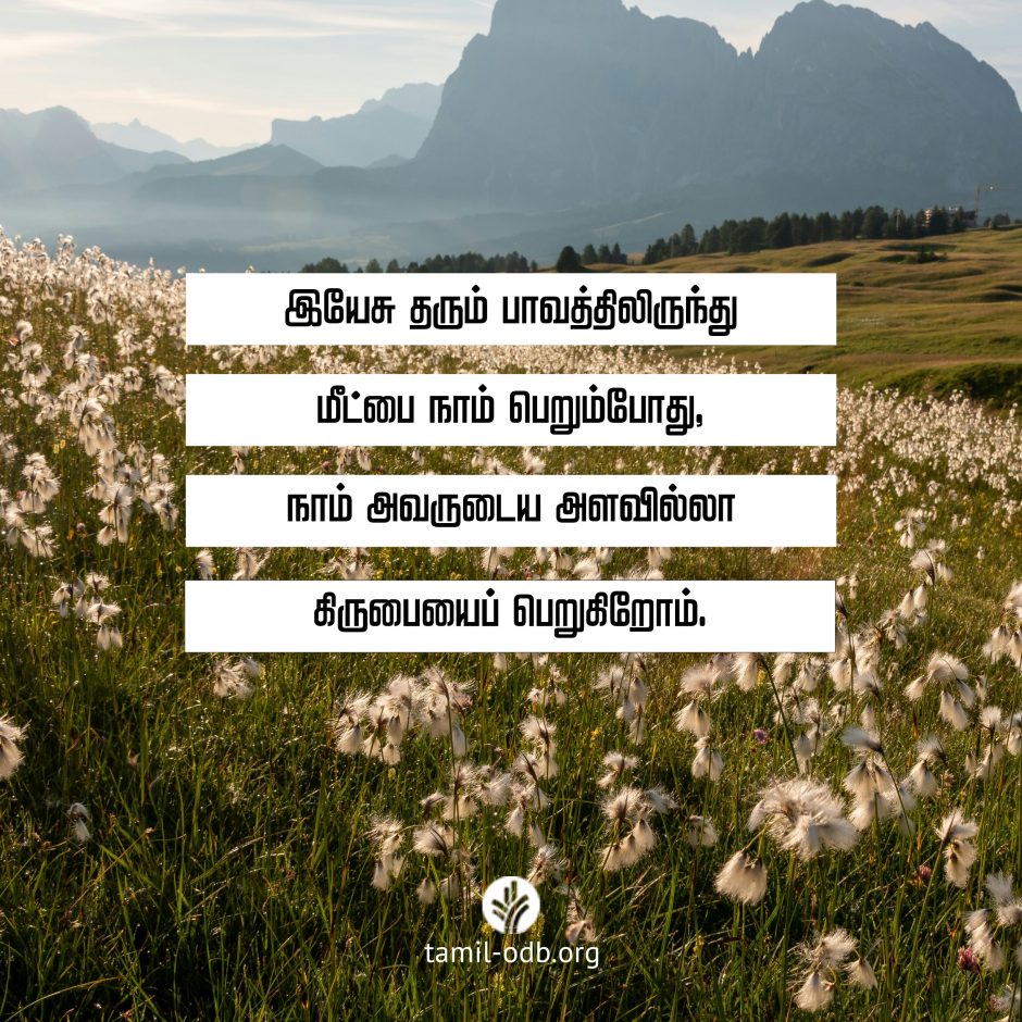 Share Tamil ODB 2026-07-11 Share Tamil ODB 2026-07-11