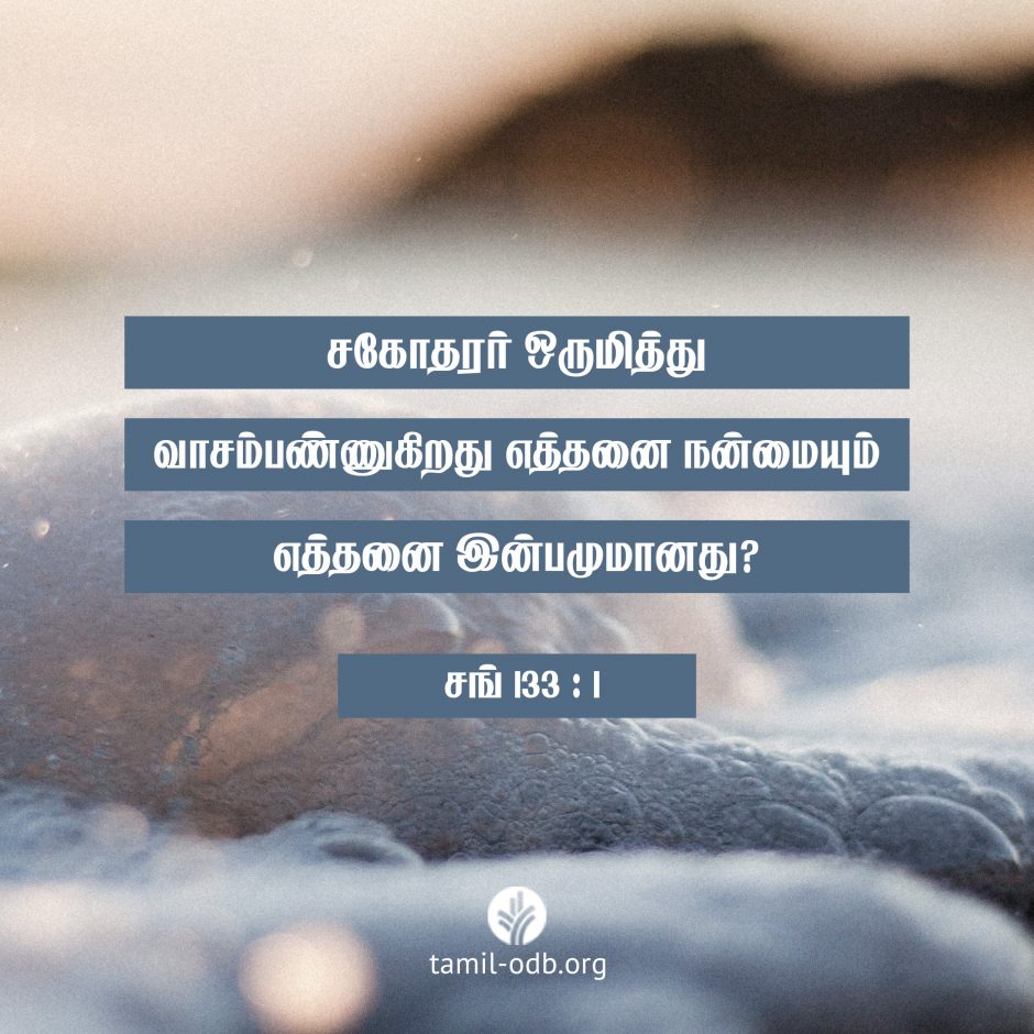 Share Tamil ODB 2026-07-14