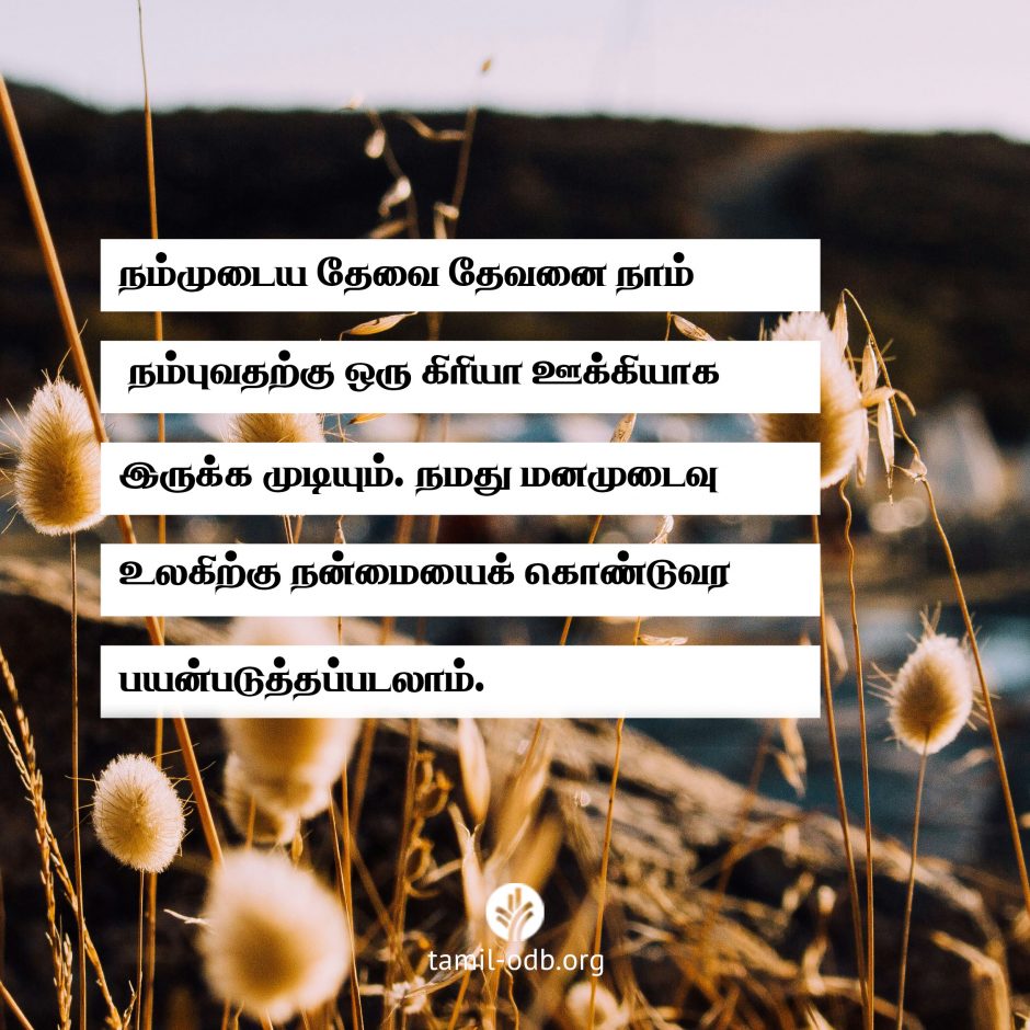 Share Tamil ODB 2026-07-19 Share Tamil ODB 2026-07-19