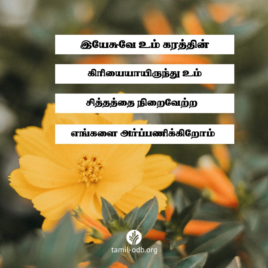 Share Tamil ODB 2026-07-22 Share Tamil ODB 2026-07-22