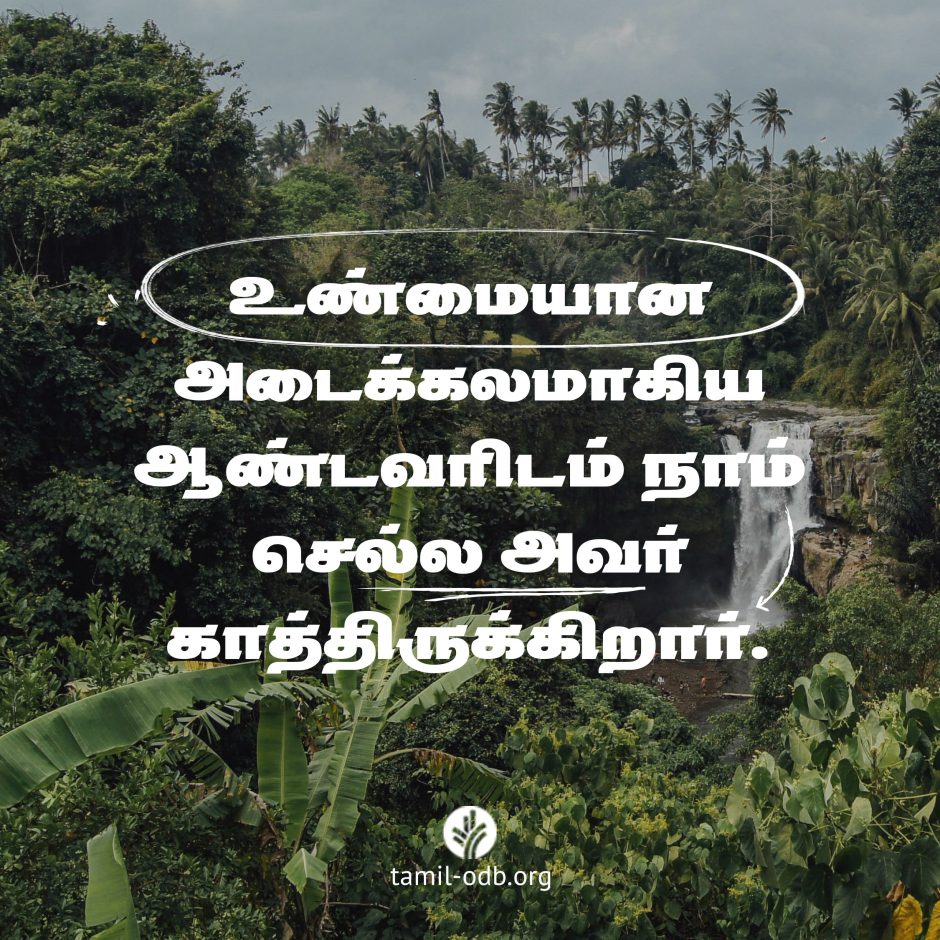 Share Tamil ODB 2026-07-24