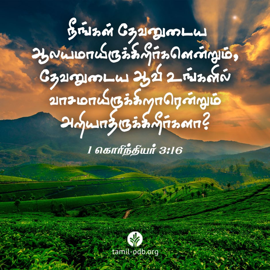 Share Tamil ODB 2026-07-29