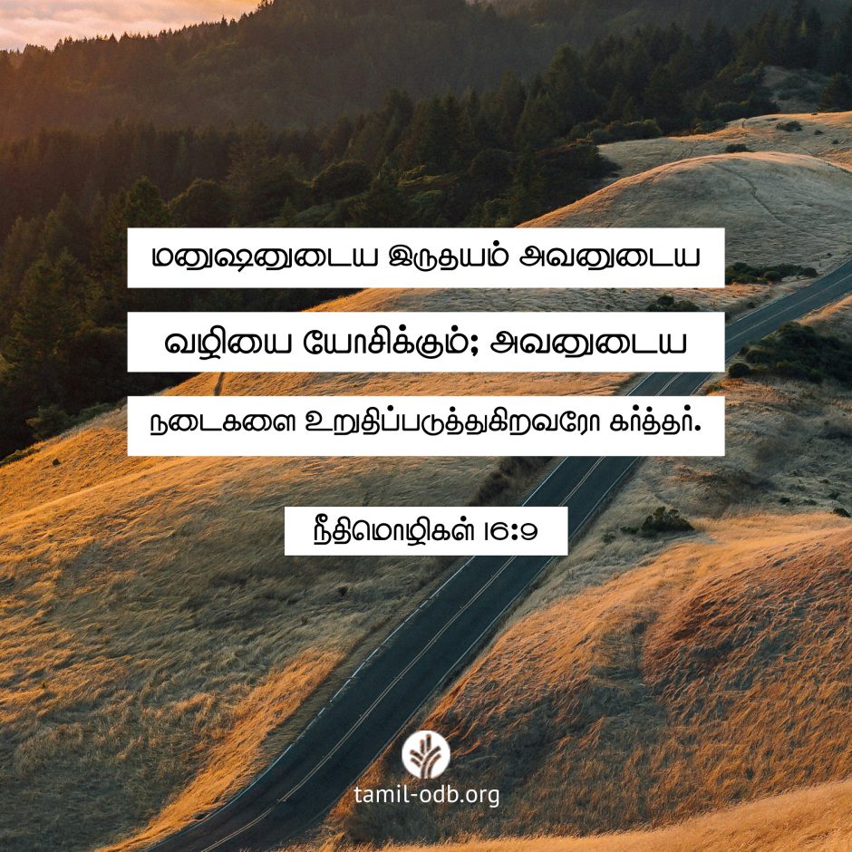 Share Tamil ODB 2026-07-30