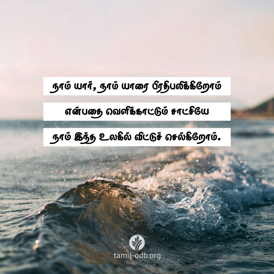 Share Tamil ODB 2026-08-01 Share Tamil ODB 2026-08-01
