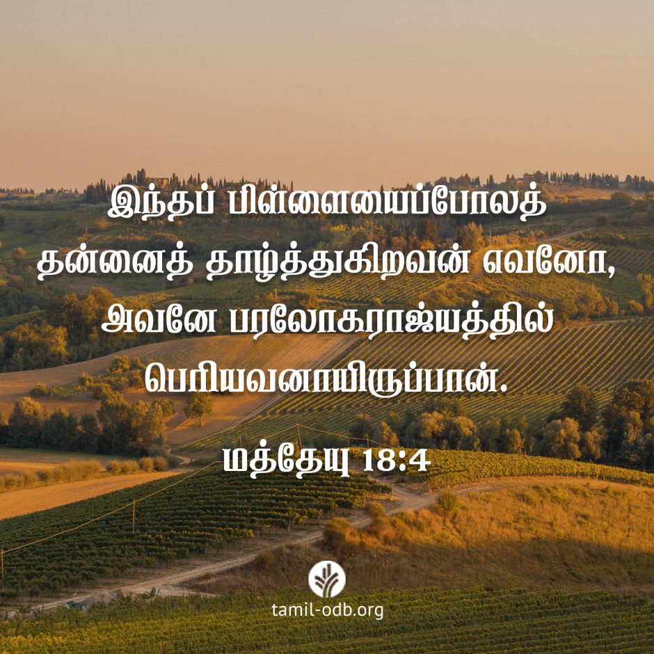 Share Tamil ODB 2026-08-02 Share Tamil ODB 2026-08-02