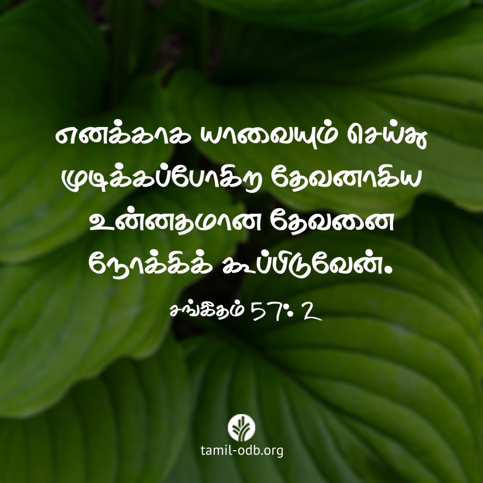 Share Tamil ODB 2026-08-04