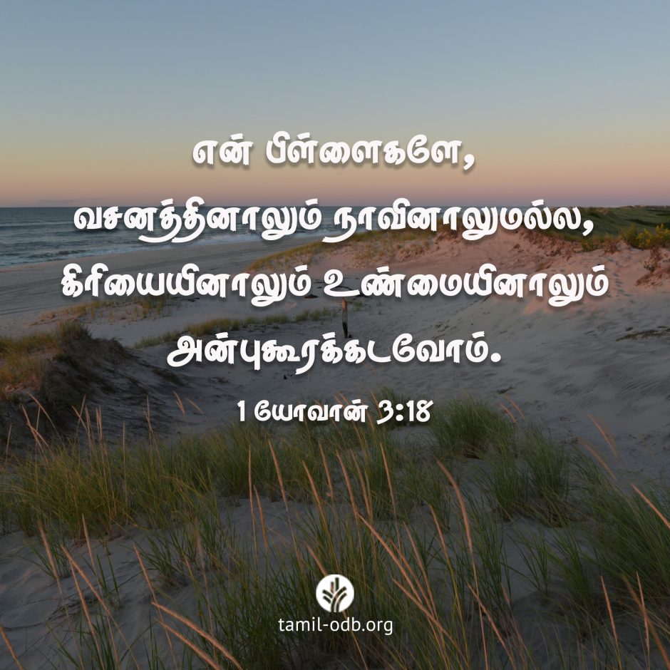 Share Tamil ODB 2026-08-05 Share Tamil ODB 2026-08-05