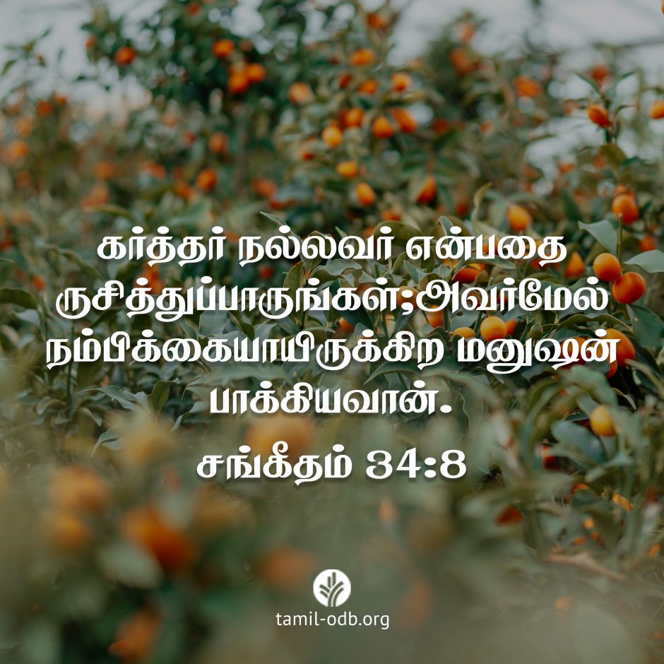 Share Tamil ODB 2026-08-11