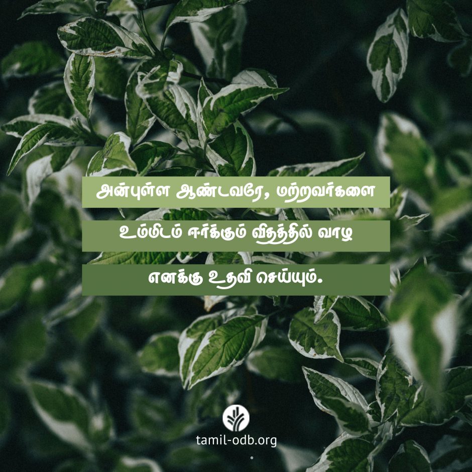 Share Tamil ODB 2026-08-20