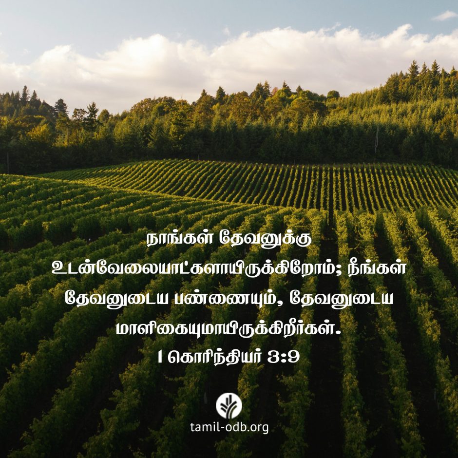 Share Tamil ODB 2026-08-25 Share Tamil ODB 2026-08-25