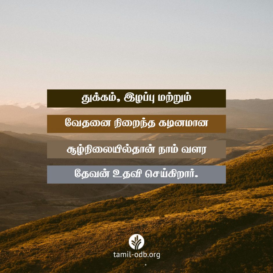 Share Tamil ODB 2026-08-26