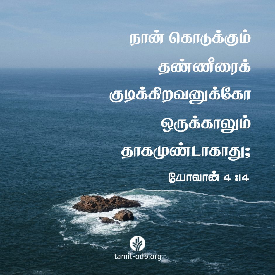 Share Tamil ODB 2026-09-08 Share Tamil ODB 2026-09-08