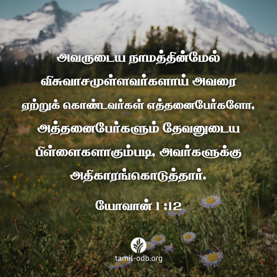 Share Tamil ODB 2026-09-10 Share Tamil ODB 2026-09-10