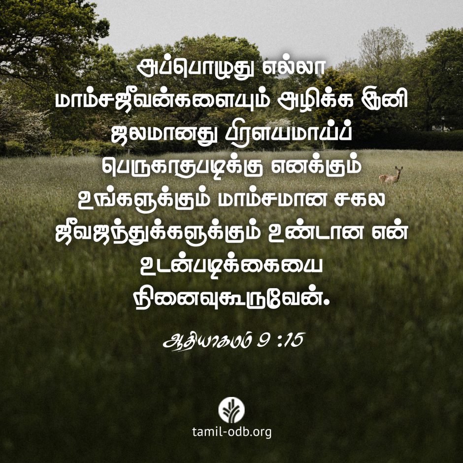 Share Tamil ODB 2026-09-11 Share Tamil ODB 2026-09-11