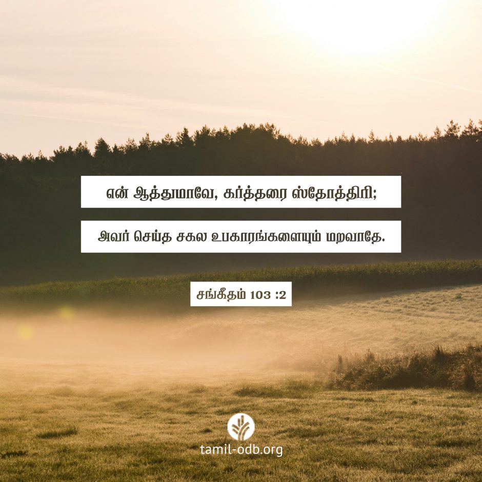 Share Tamil ODB 2026-09-12 Share Tamil ODB 2026-09-12